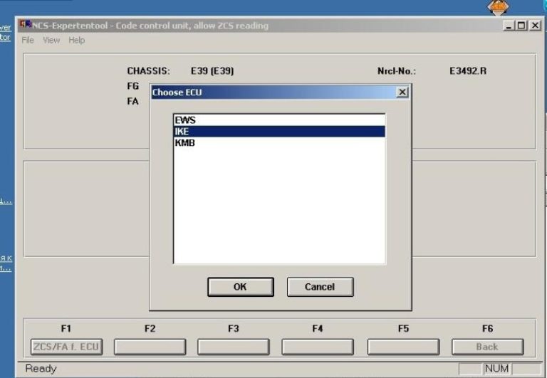 BMW E39 EWS & CAS Module Coding by NCS Expert - Auto Repair Technician Home