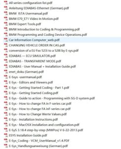 Bmw coding parameters